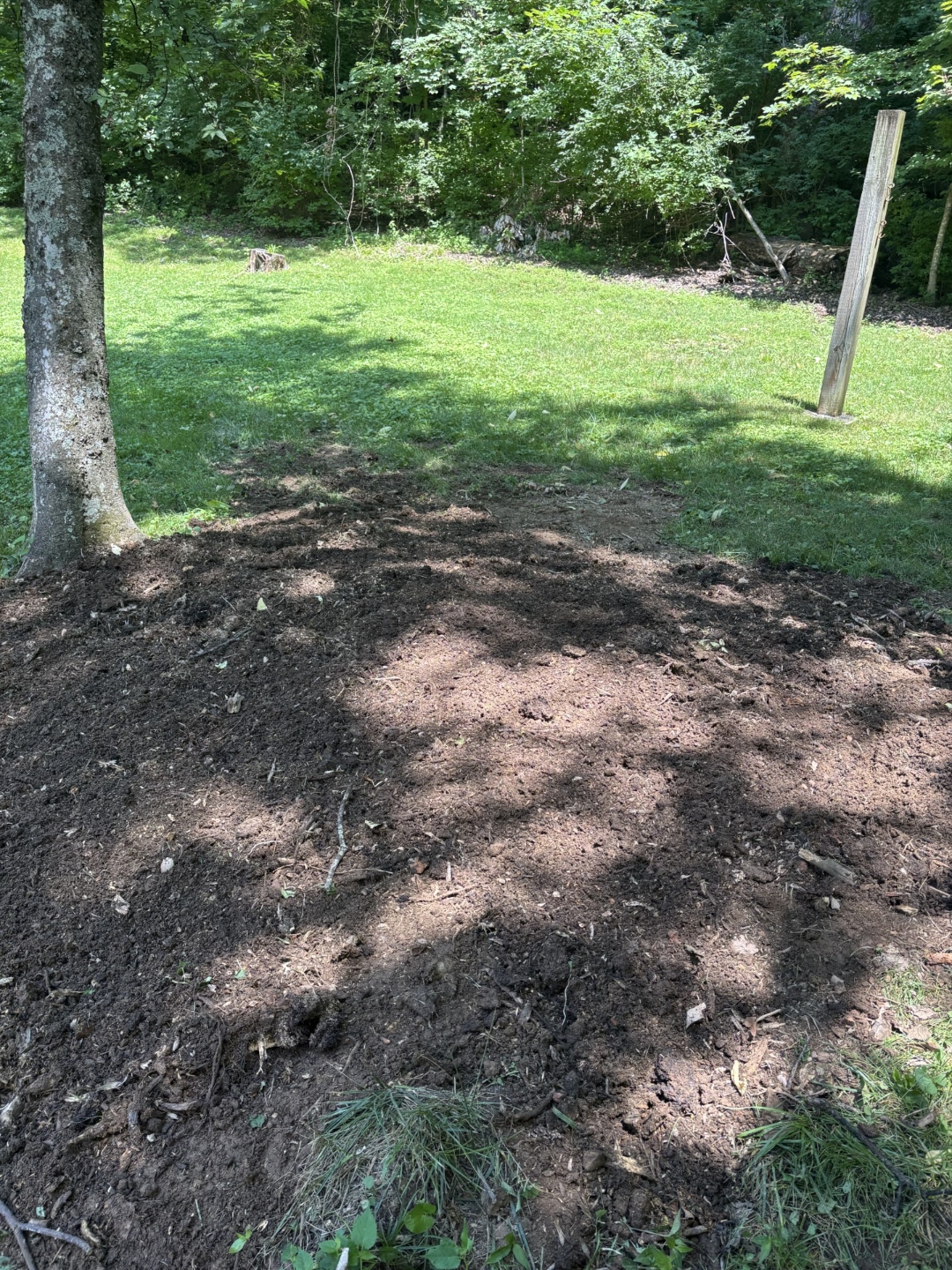 Wooded yard cleared after stump grinding